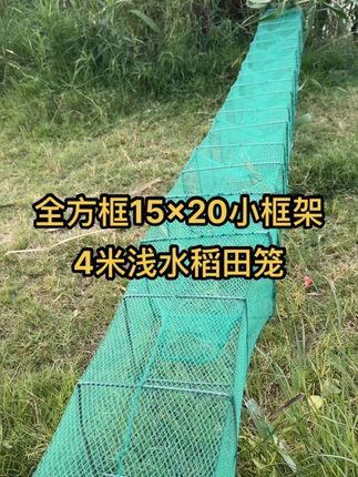 #逮鱼摸虾 #捕鱼网笼推荐 #户外用品 #渔具用品 #渔具 15x20小框架浅水稻田笼