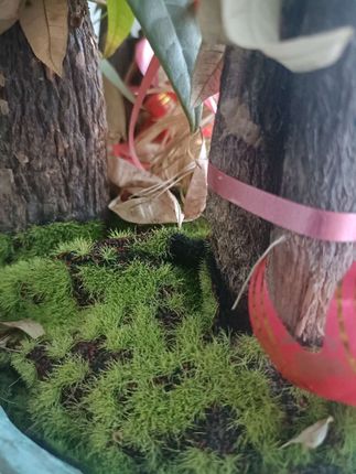 #手腕巾 #运动手腕巾 #手腕巾擦汗