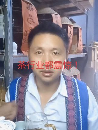 #老班章古树#冰岛古树#麻黑古树#曼松古树