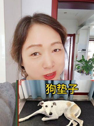 天气越来越冷了,别让狗狗趴地板啦#加厚保暖狗垫子 #宠物用品 #视频左下角小黄车