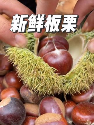 #强烈推荐 #板栗 #软糯香甜 #作品推广小助手