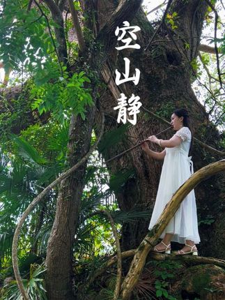 空山静洞箫版 空山新雨后,天气晚来秋。明月松间照,清泉石上流! 空山不见人,独立寒秋风。世间多沧桑,何处无忧伤。借问天涯路,独行渡凡尘。不求名利身,素衣千山行。 空山静文案,神仙姐姐,仙女吹箫,白衣仙女 #空山静 #空山静洞箫 #树上吹箫 #美女上树 #好听的箫曲