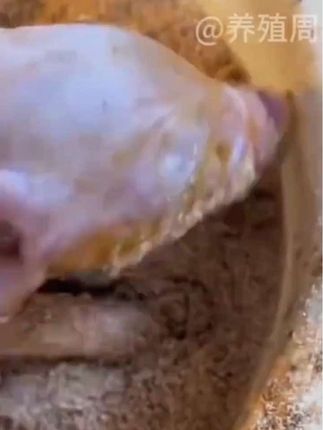 【五斤大包装】仔猪小猪接生粉母猪牛羊爽身粉干燥剂#小猪接生粉 #小猪爽身粉 #母猪接生粉 #兽用接生粉 #接生粉