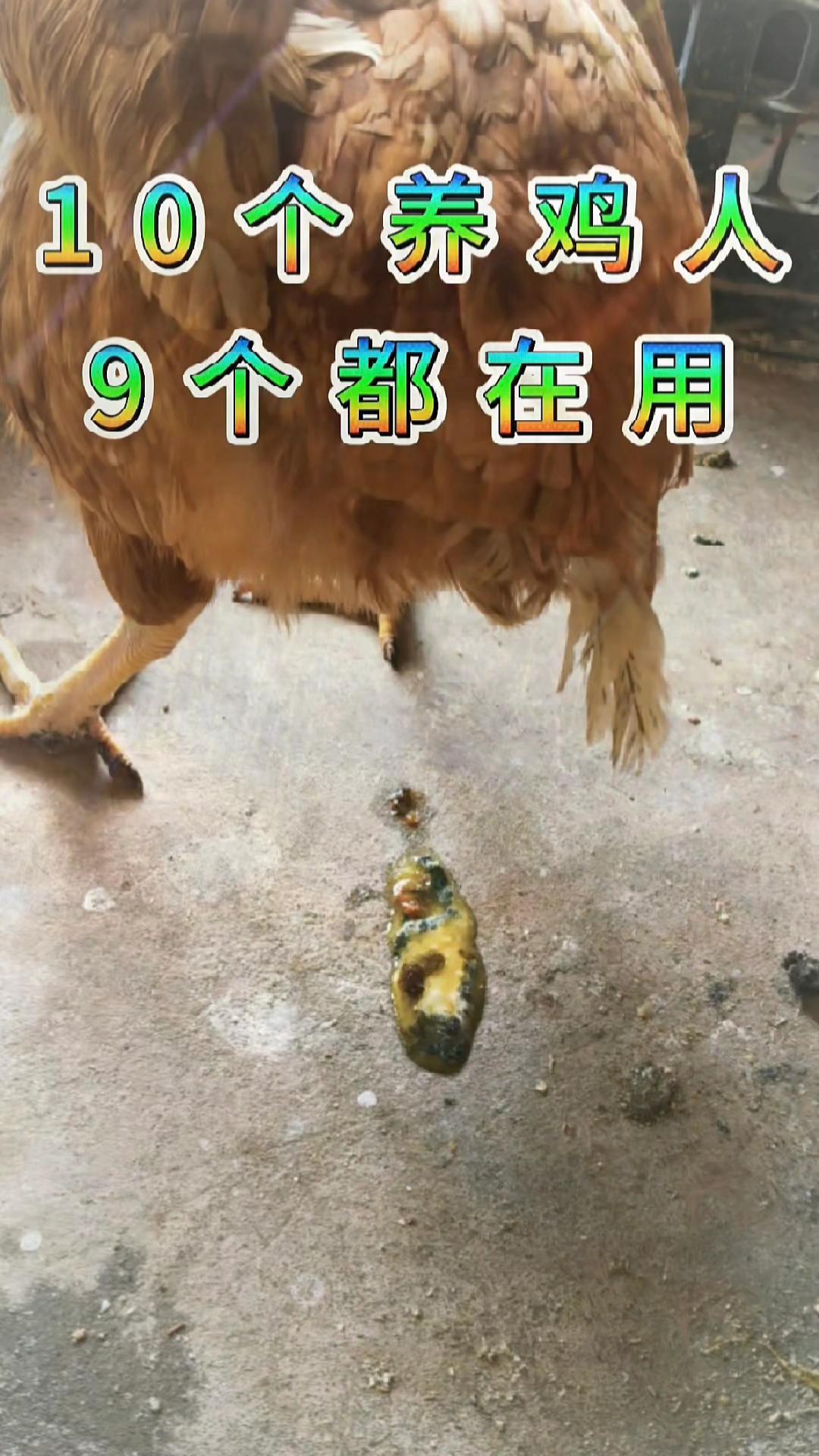 阎王手里夺鸡命 #鸡病防治 #禽病防治 #鸡呼噜 #鸡咳嗽呼噜 #鸡呼噜怪叫