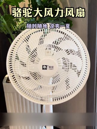 #风扇 #骆驼风扇 #哇 #测评