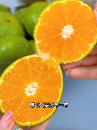 #新鲜采摘 #无籽青皮蜜橘 #当季水果 #口感好#大人孩子都爱吃