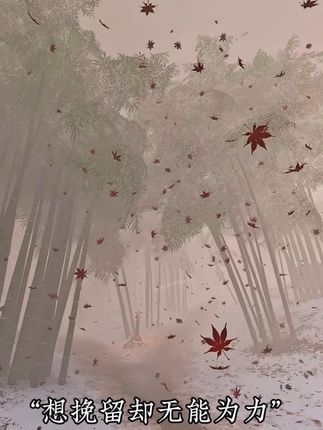 没结果的时候 就好好睡一觉 不用太自责 你也是用心才走到这里 我知道#心碎的声音 #心碎的声音翻唱 #心碎的声音宿命感拉满了 #歌曲心碎的声音 #音乐分享