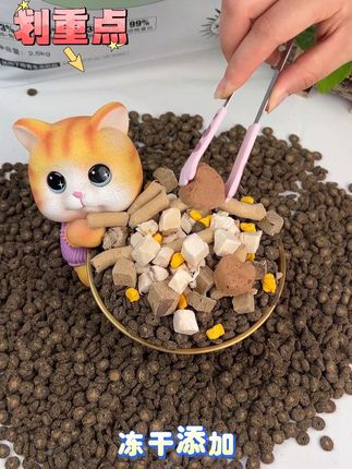 这个被铲屎姐妹问爆了的猫粮,我真的能给我家小猫喂一辈子#猫粮#猫粮推荐#冻干猫粮#工厂#新手养猫