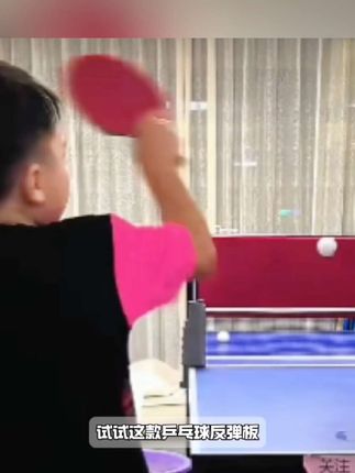 乒乓网乒乓球专业#反弹板 家用对打器专用回弹板回球板,练球自练神器