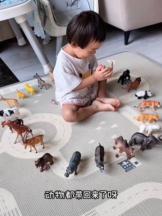 这简直是把动物园的动物都带回家了哇,栩栩如生的宝宝可喜欢啦#动物模型#早教玩具#玩具推荐