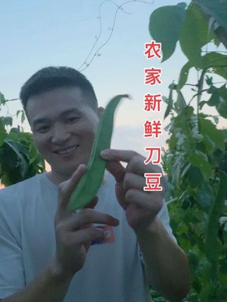 【🌿新鲜刀豆|脆嫩清甜,一口尝鲜】 ,清晨采摘,饱满翠绿,每一根都带着田野的清新! #刀豆酸 #绿色蔬菜 #农产品