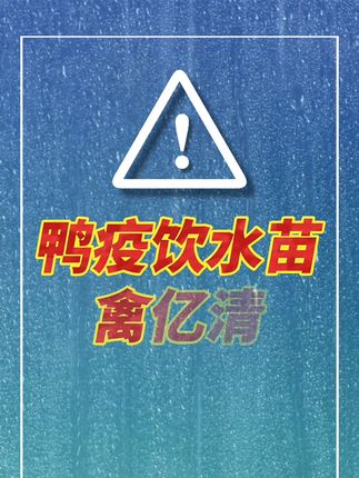 #养鸡人 #鸭疫饮水苗 #蛋鸡养殖 #肉鸡养殖 #禽达人饮水苗小店