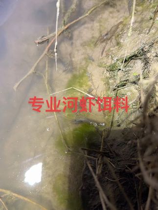 想要的下方小黄车
