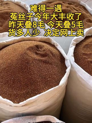 #农产品 #菟丝子功效与作用 #菟丝子 #菟小丝子 #三农流量扶持计划