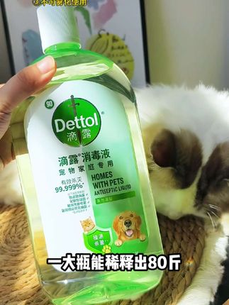 一大瓶够用一年了,5个9的杀灭率真的是够牛了!滴露做消毒液90年了,专业程度真不是只有嘴上说说的#滴露宠物消毒液 #养猫新手 #萌宠好物 #消毒液 #无限回购的宝藏单品