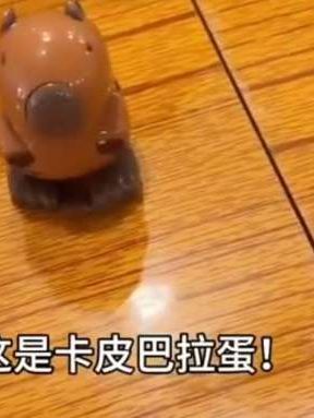 #玩个很新的东西 #卡皮巴拉 #意想不到的结局 原来卡皮巴拉是这样诞生的