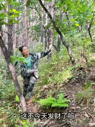 #男士神仙单品 乡村生活 黄金草茶 大自然的馈赠 大山里的味道 #嗷嗷叫茶 #黄金草#三农