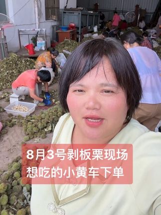 金寨板栗大量上市 想吃的小黄车下单 泡沫箱加冰发货到家#优质农产品 #家乡特产