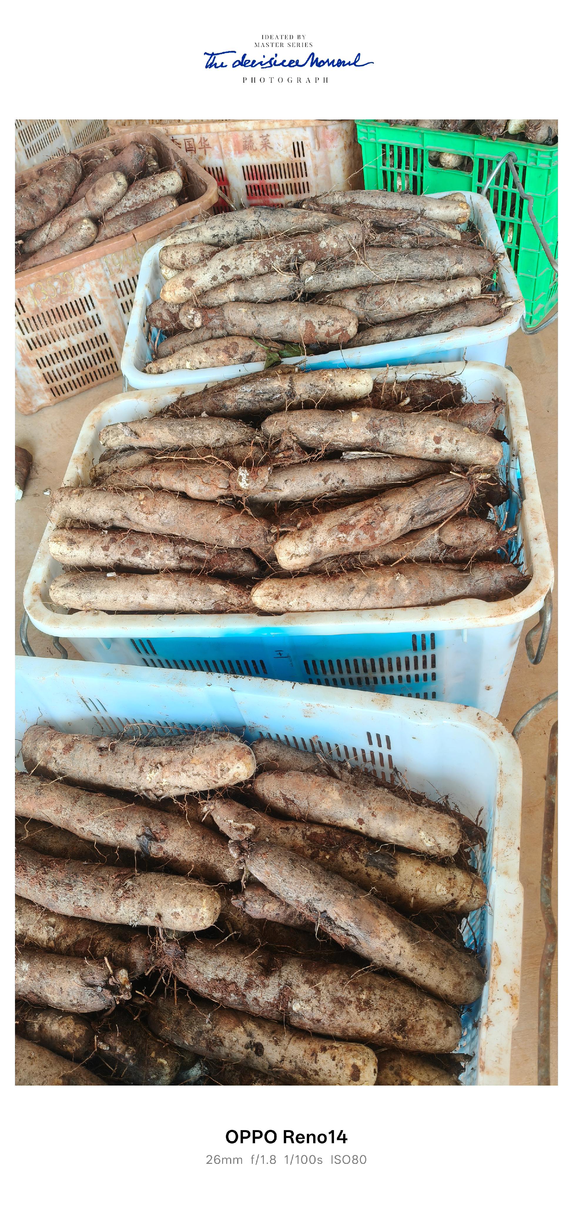 纯天然无添加 每天新鲜食材,现挖现发!