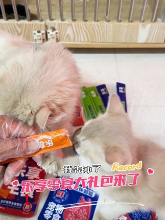 乐享家的零食大礼包,平时老贵了,现在有活动,赶紧给你家猫也薅一份!#萌宠好物 #猫咪零食推荐 #新手养猫