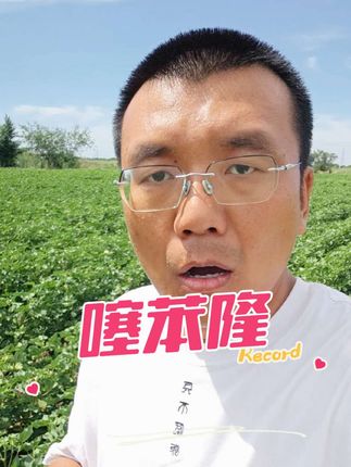 0.1%噻苯隆,膨大棉桃,提高单铃重#芳华农资