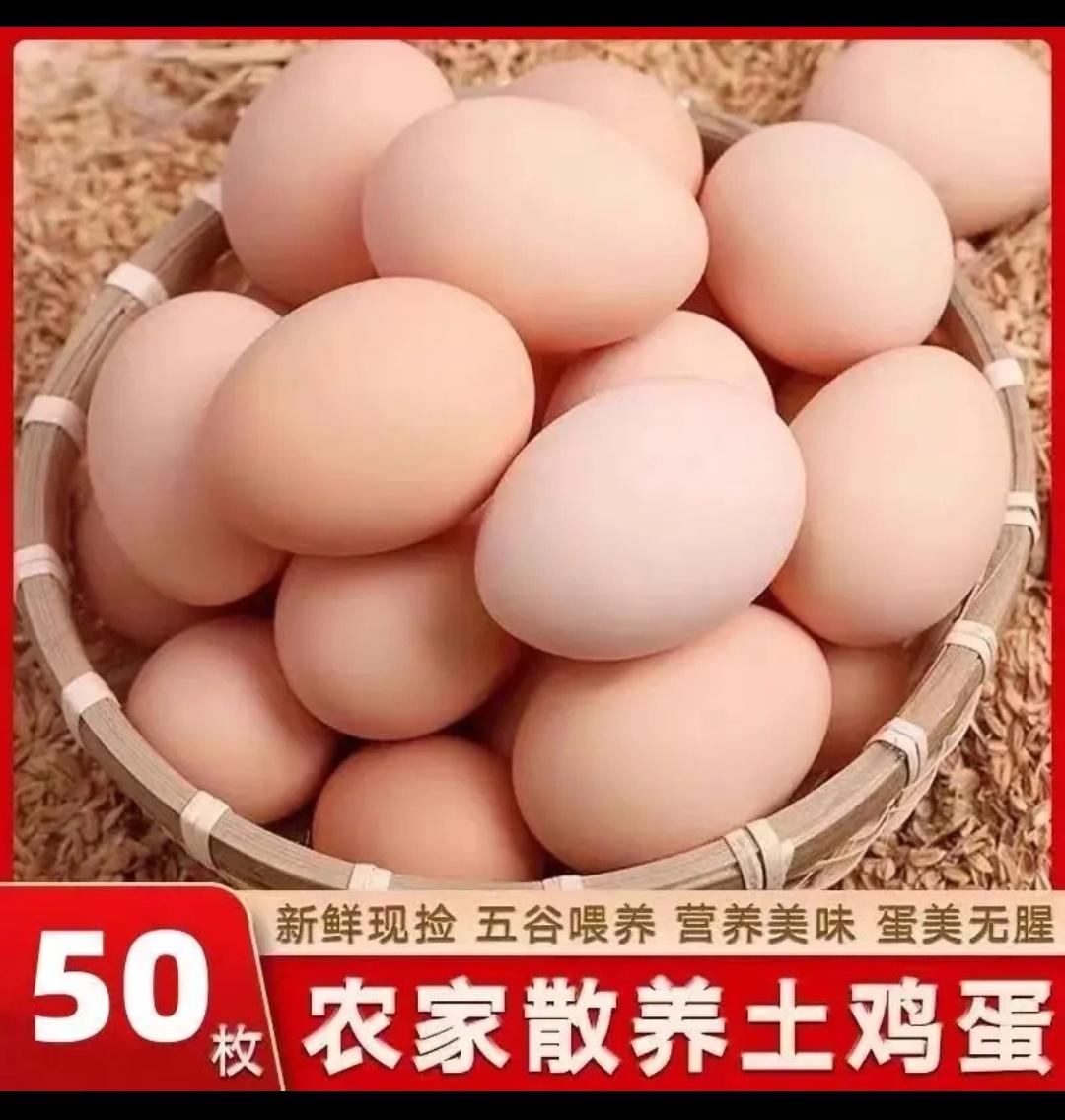 家人们赶紧去抢这个土鸡蛋,今天厂家为了冲销量可是来大福利了,数量不多,拍完就下架!这个土鸡蛋都是高山散养,吃天然饲料长大的鸡下的蛋,每天只捡一次,新鲜又便宜。
