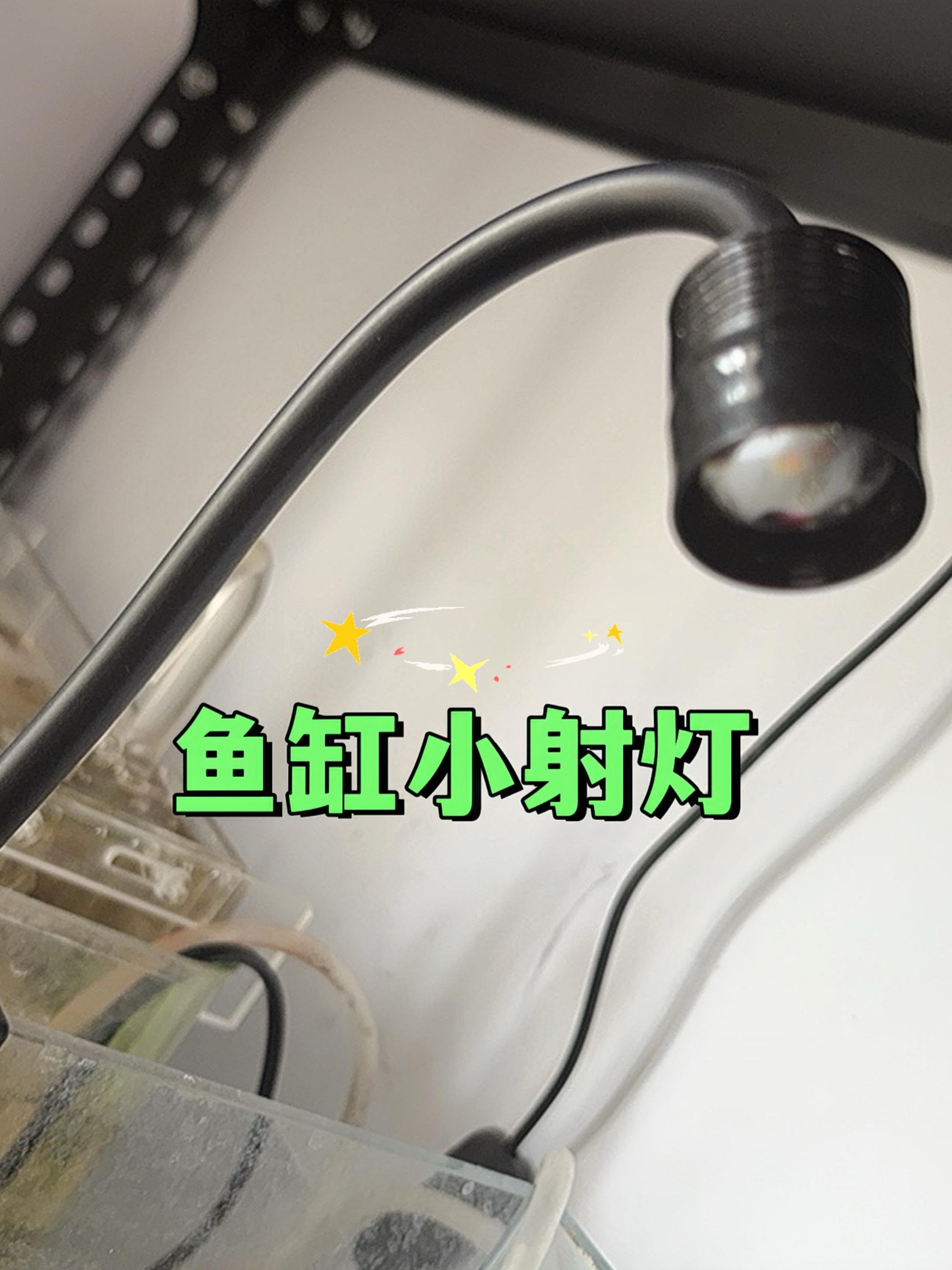 #鱼缸射灯 #鱼缸射灯推荐 #鱼缸灯 #鱼缸小射灯 #鱼缸小灯