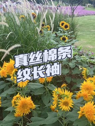 #好物分享 #今天穿什么 #夏季新款 #时尚百搭 #条纹控