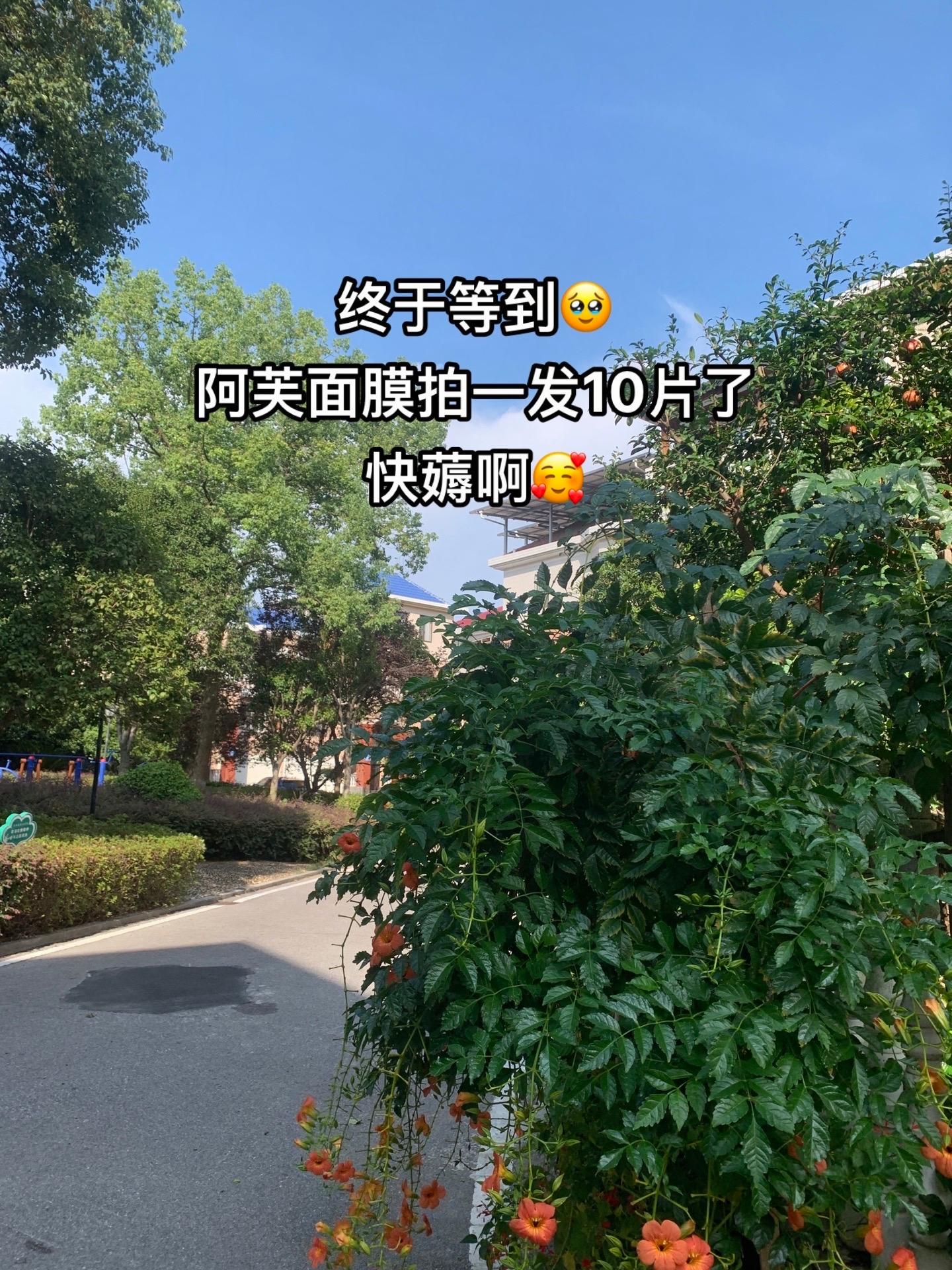 我的妈呀,阿芙精油面膜,拍一发10啦!这个羊毛我必须得薅!而且它不是普通的面膜,是精油面膜,积雪草精粹补水保湿,提亮玫瑰精油补水保湿,收缩毛孔,紧致抗皱。黑松露精油面膜,抗糖抗氧,淡化暗沉,每一款都是针对性的,姐妹们,赶紧来抢。#阿芙#面膜#强烈推荐#无限回购的宝藏单品