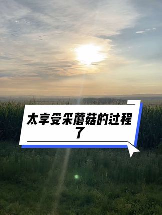 #生活不会辜负每一个努力的人 #原创视频 #vlog日常