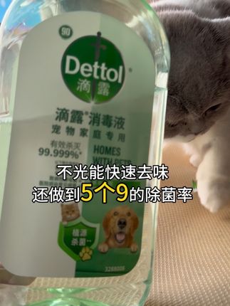 大品牌值得信赖,家有宠物的家长,可以放心用#滴露宠物消毒液 #宠物洗澡