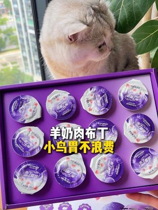 小小一杯,特别适合小鸟胃猫咪,偶尔加餐也是非常不错的选择#俘获布丁魔球#俘获宠物店#猫罐头 #猫餐包 #新手养猫 #俘获宠物店 #猫罐头 #猫餐包 @抖音小助手