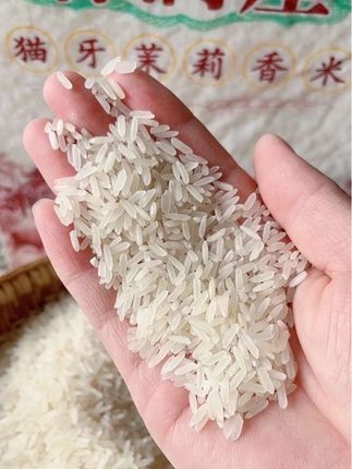 爆火猫牙米上新!生态梯田晚稻现磨,米饭颗颗饱满、软糯清甜,孩子抢着吃,聚餐秒光!#猫牙米 #香米 #大米 #妈呀太香了 #抖音美食推荐官