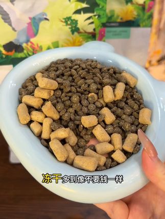 谁家小猫还没吃过蓝氏猫粮,现在3斤正装也划算啦! 赶紧冲#蓝氏 #蓝氏猫粮 #萌宠好物 #养猫好物