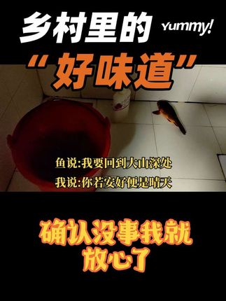 #意不意外 #美食 #稻田鱼 #好吃到停不下来 @DOU+上热门 @抖加🔥上热门🔥dou+🔥热点宝 @抖音来客官方助推官