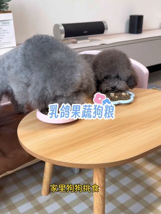 家里有挑食小狗的,一定要试试肉璞家这个鸽肉果蔬粮,打开就是满满的肉香,直接拿捏小狗的味蕾,趁活动快给你家挑食小狗试试吧#狗粮 #养宠经验分享 #小馋狗