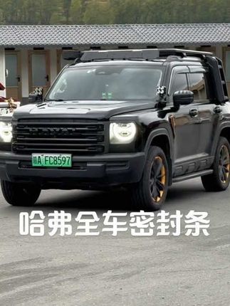 我们车辆隔音不好,开车胎嗓风噪非常大 都是减配了隔音密封条,下雨洗车 水渍灰尘也会进入车里 时间长了还会生锈异响,坐在车里体验感非常差,快来安排这个哈弗专用隔音密封条,防风防尘防水 静谧性也更好了,安装简单#车品 #汽车隔音降噪 #哈弗#哈弗大狗 #哈弗神兽