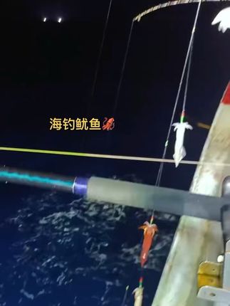 东海海钓鱿鱼来了!