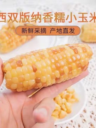 云南西双版纳小花糯小玉米代餐早餐轻食低脂加热即食真空锁鲜香糯#花糯玉米 #早餐吃什么 #粗粮杂粮
