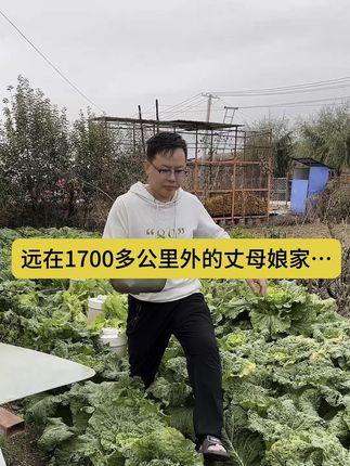 这里就是我老婆远嫁1700多公里外的娘家,位于吉林舒兰下面的一个小村庄,十一假期和老婆带着16个月的宝宝,开车从河南折腾了三天两夜回来,没有告诉丈母娘他们,现在中午12点多了家里还没有人…#记录真实生活 #不粘油抹布 #抹布 #远嫁
