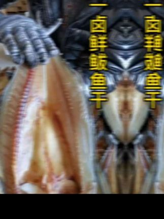 #鲅鱼圈特产香煎鲅鱼马鲛鱼真空包装正宗营口渤海湾燕鲅鱼煎鱼新鲜