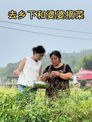 去乡下看望婆婆,和婆婆一起去地里摘菜 #记录真实生活 #我的生活日记 #vlog日常