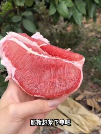 #中秋好礼抢先购 #好红心柚子#汁水饱满 #香甜可口