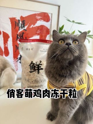 家人们!别再给挑食怪惯着了!就这俏客萌鸡肉碎冻干,我家毛孩追着要饭!#俏客萌 #俏客萌冻干 #养猫新手 #萌宠好物 #猫狗零食冻干
