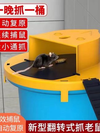 老鼠扑捉器新型捕鼠神器家用全自动连续翻盖陷阱 桶老鼠夹子灭鼠器#全自动捕鼠器 #捕鼠器#捕鼠器抓老鼠 #灭鼠方法 #灭鼠 @DOU+上热门