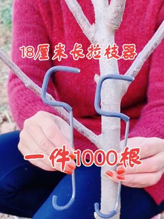果树拉枝定型神器,果农的好帮手#好物推荐 #作品推广 #抖音助农 @抖音小助手 @DOU+小助手 @生活服务热点中心