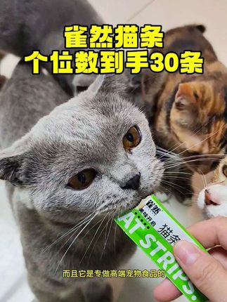 家人们养猫的快看,十块都不到,直接抱走三十只雀然猫条,这性价比简直是铲屎官的福音,三种口味混装,天天换着喂都不重样#抖音小助手 #无限回购的宝藏单品 #超便宜超划算 #吧唧小猫 #猫条