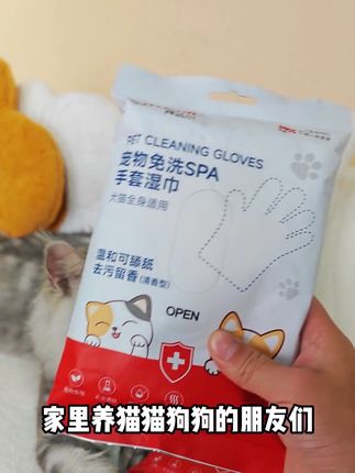 拜达尔宠物免洗手套猫咪狗狗专用洗澡干洗神器清洁用品除臭湿纸巾 拜达尔宠物免洗手套猫咪狗狗专用洗澡干洗神器清洁用品除臭湿纸巾#好物推荐🔥