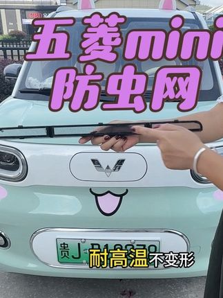 五菱mini三代四代专车专用的防虫网来了,and框和金钢丝网一体成型,卡扣式无损安装,防止飞虫柳絮杂物等进入水箱冷凝箱导致冷泥箱堵塞,专车专用更服帖,装上后的颜值也是特别高的#五菱 #防虫网 #五菱mini #五菱mini防虫网 #五菱mini马卡龙