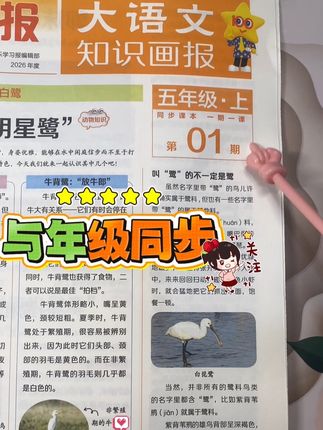 大语文知识画报 #大语文 #大语文知识 #大语文知识画报#小学语文